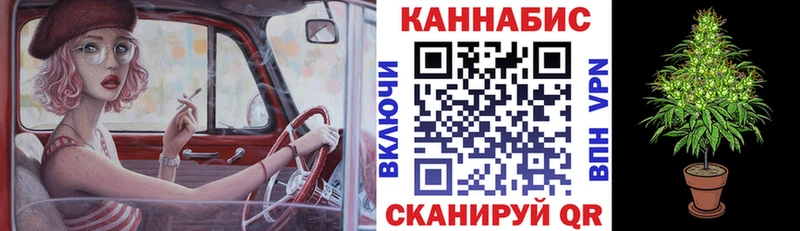 Шишки марихуана Amnesia  Купить  Новая Ладога 